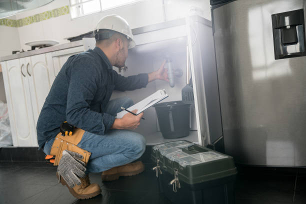 Best Toilet Repair Services  in Beaverton, MI