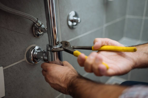 Best Plumbing Inspection Services  in Beaverton, MI