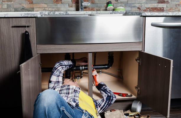 Best Local Plumber Services  in Beaverton, MI